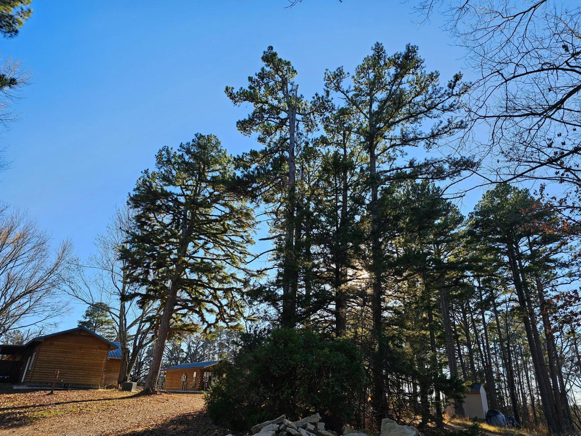 5 Min To Beaver Lake-King Bed-Fire Pit-Jetted Tub #3 Eureka Springs Exterior photo