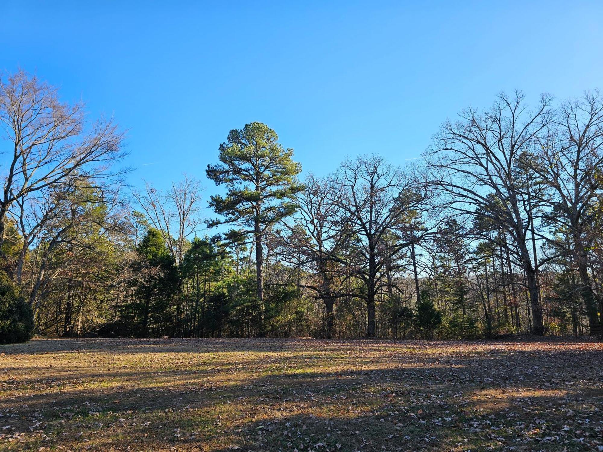 5 Min To Beaver Lake-King Bed-Fire Pit-Jetted Tub #3 Eureka Springs Exterior photo